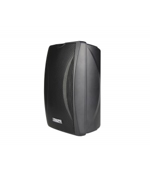 DSP-6604N IP-громкоговоритель