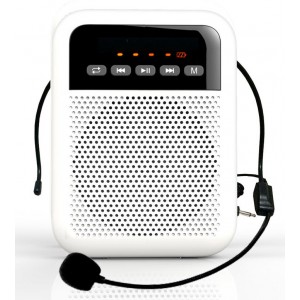 LAudio WS-VA030    Переносной громкоговоритель для гида, 5Вт