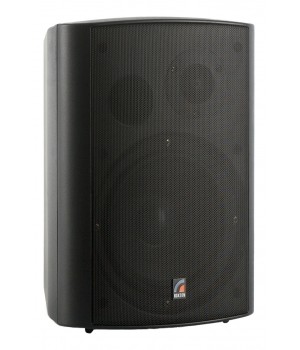 ROXTON MS-40TB  Двухполосная акустическая система 
