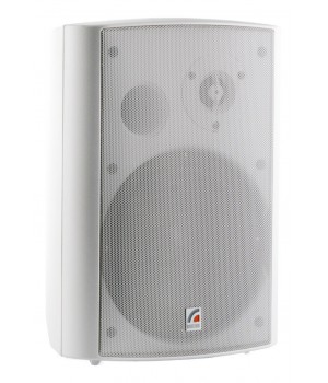 ROXTON MS-40TW  Двухполосная акустическая система 