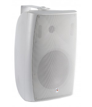 ROXTON MS-80TW  Двухполосная акустическая система 