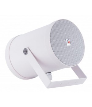 Roxton SW-10T2  Двунаправленный звуковой прожектор 