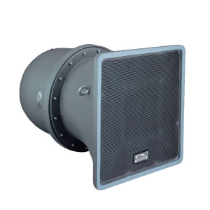 Soundking FW212   Громкоговоритель настенный