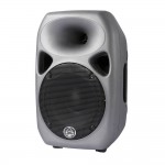 Категория Акустические системы