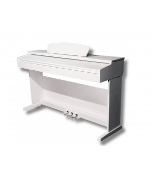 A100 Фортепиано цифровое