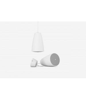 HANG42W — подвесная двухполосная акустика (4" вуфер + 1" твитер) с dual-mode (100В: 2,5/5/10/20 Вт  или 8 Ом: 40 Вт)