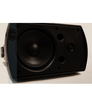 RF516TBl – высококачественные двухполосные акустические системы для систем трансляции фоновой музыки 