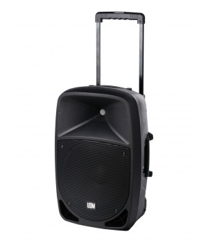 PR-12HR Акустическая система с 2 микрофонами, аккумуляторная, 120Вт