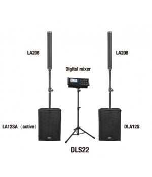 DLS22 Комплект акустических систем, сабвуфер, микшер, Soundking