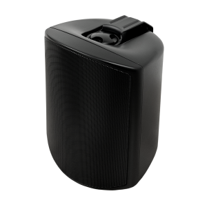 SVS Audiotechnik WSP-6B Pro Всепогодная трансляционная акустическая система