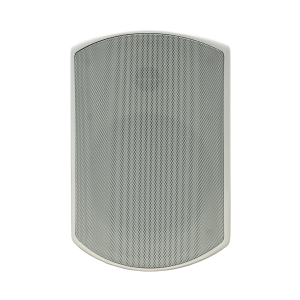  SVS Audiotechnik WSP-6W Pro Всепогодная трансляционная акустическая система